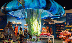 Gift Shop Background